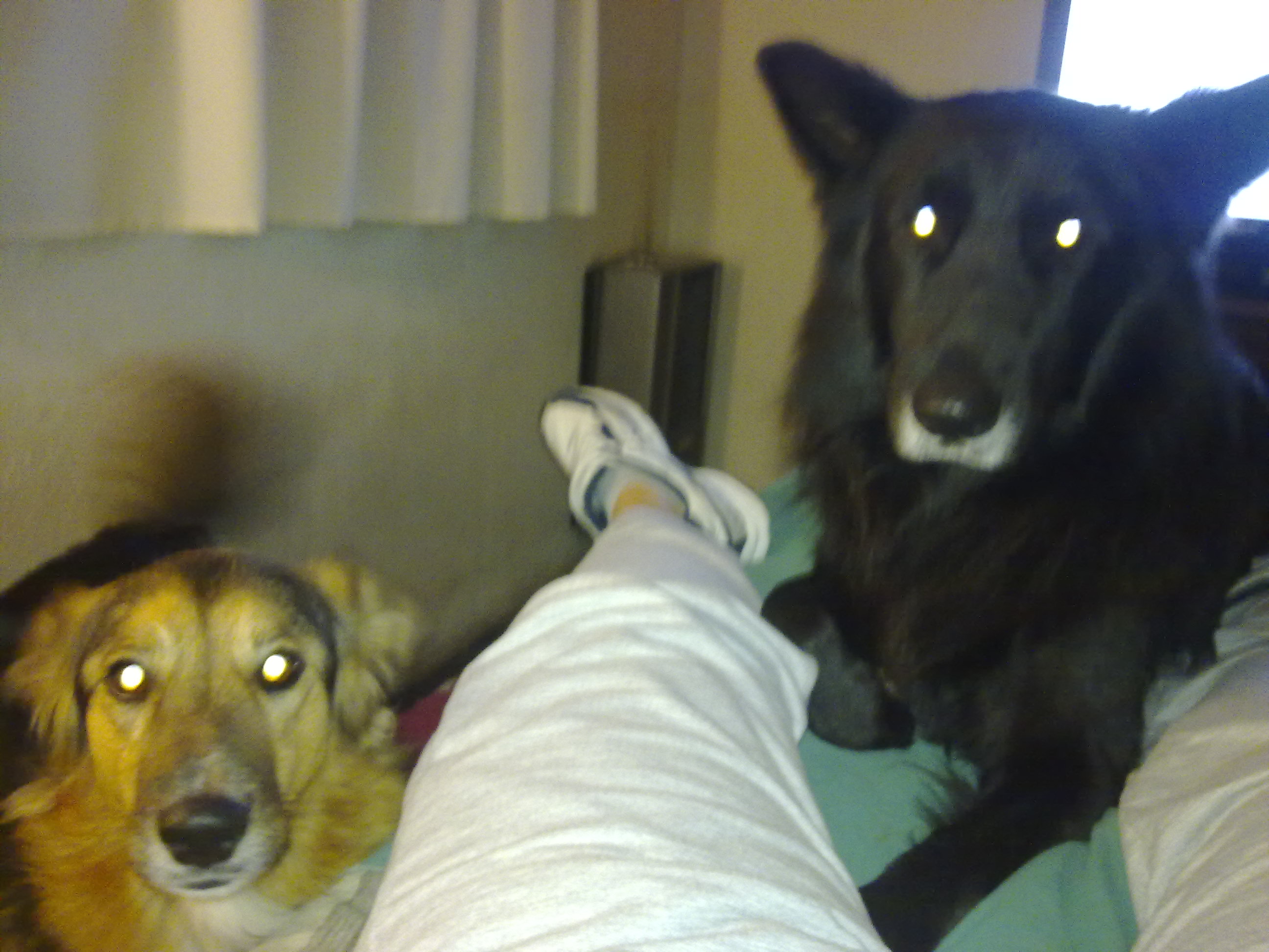 fotos/2010-07-19 - Mision Mundial/11062010424.jpg